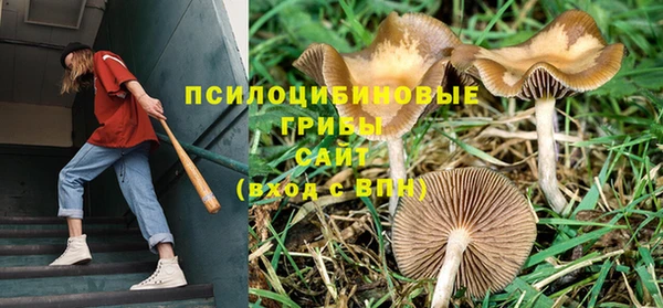 марки lsd Верея