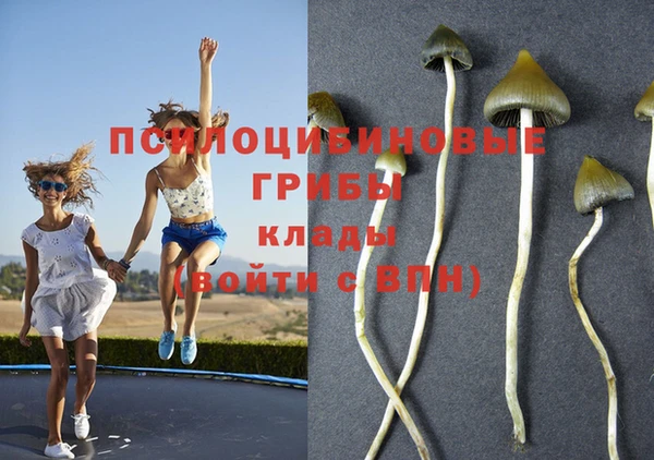 марки lsd Верея