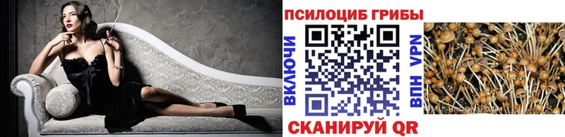 Купить где  Ардон  Галлюциногенные грибы мицелий 