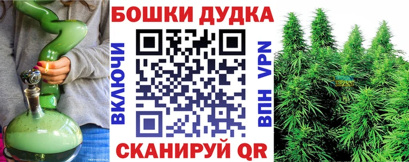 Купить закладки  Ардон  Канабис гибрид 